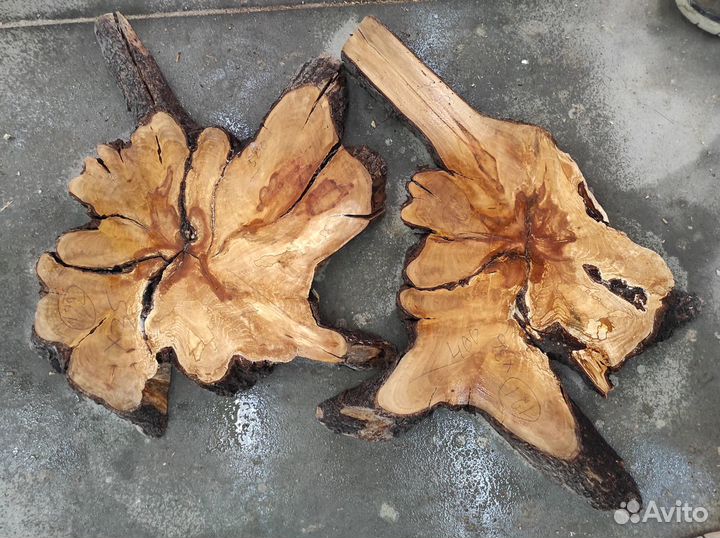 Торцевой спил дерева, слэбы из дерева