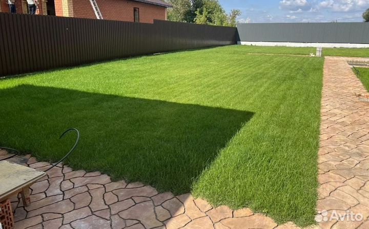 Рулонный газон