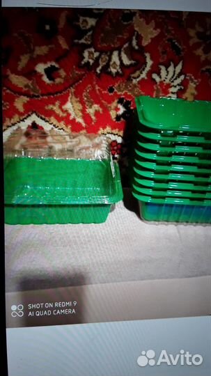 Сансев.,табл.пласт.,диффенбахия,расс. горшк,семена