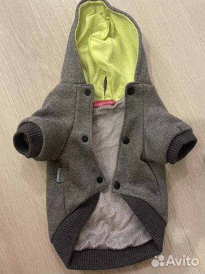 Жилетка для мелких пород собак