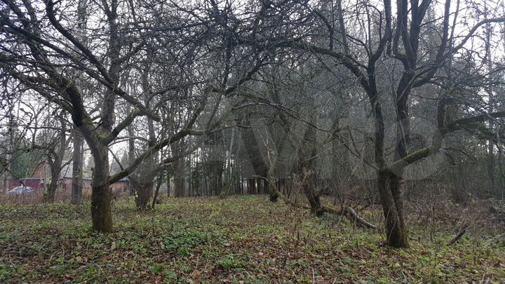 Участок 21 сот. (ИЖС)