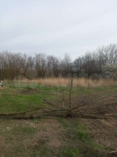 Участок 6 сот. (ИЖС)