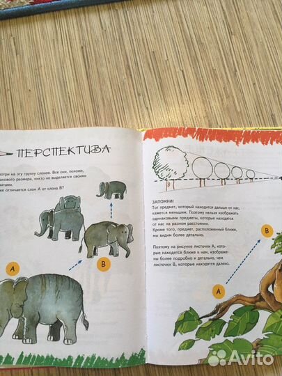 Учимся рисовать. Роза М. Курто