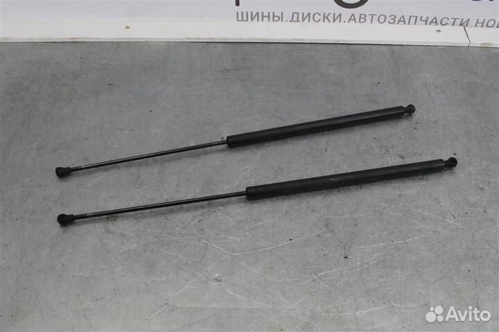 Амортизатор крышки багажника комплект Peugeot-Cit