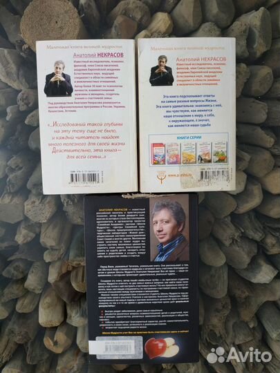 Анатолий Некрасов