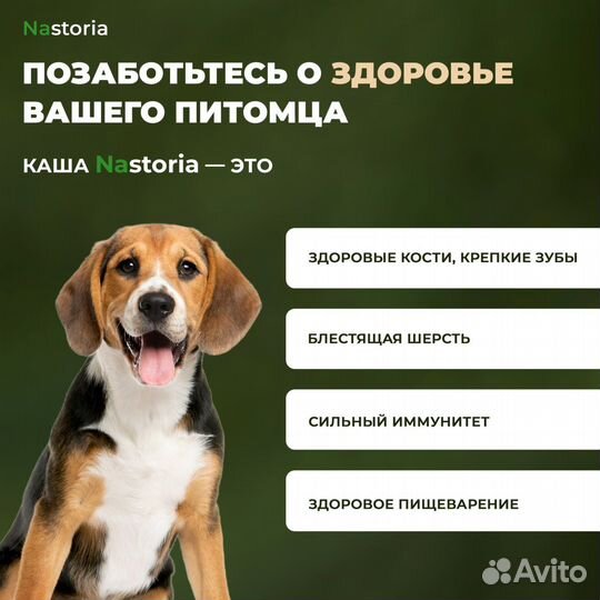 Сухой корм для собак