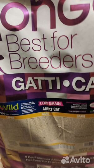 Корм Monge и другие корма для кошек