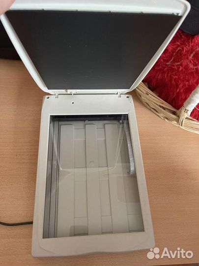 Сканер mustek 1248ub