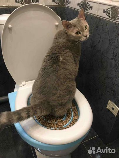 Лоток для приучения к кошек к унитазу