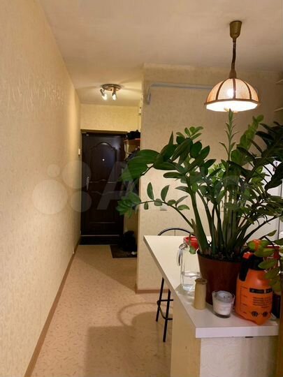 1-к. квартира, 26 м², 5/9 эт.