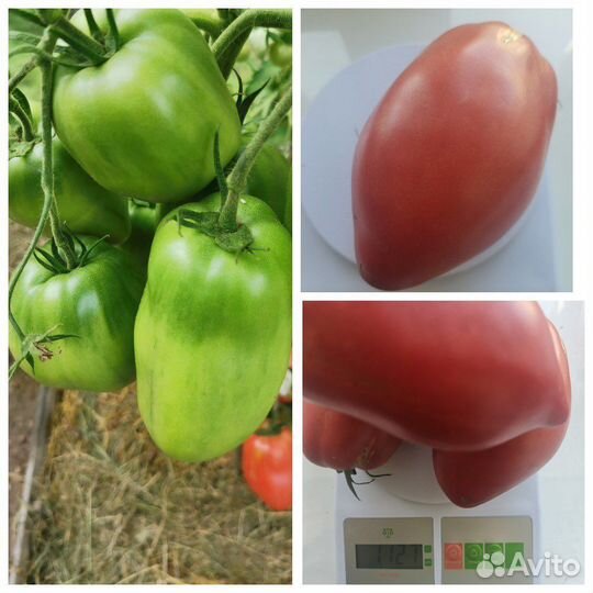 Семена томатов