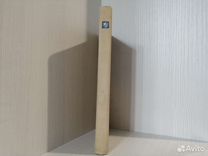 Функциональное созревание мозга / Д.А. Фарбер