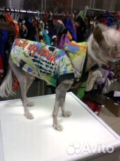 Большой выбор Одежда для собак животных