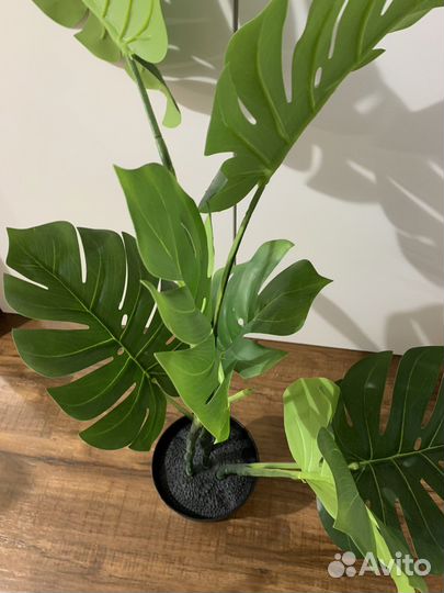 Искусственное растение монстера и Фейки IKEA