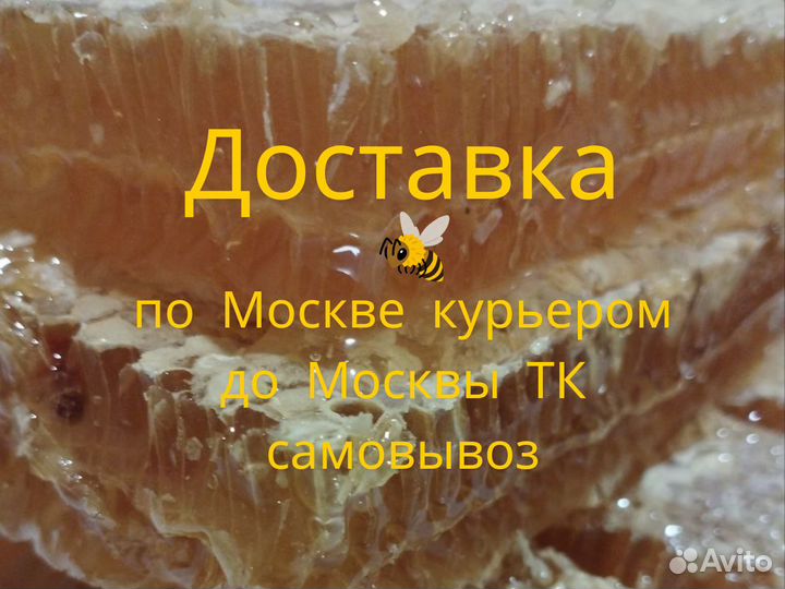 Медовые соты