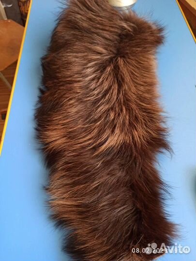 Меховой воротник енот