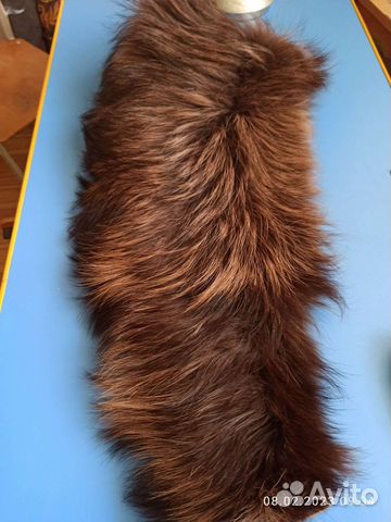 Меховой воротник енот
