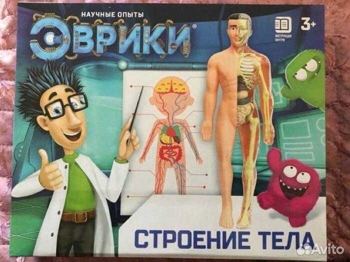 Набор «Строение тела», анатомия человека