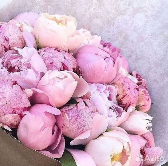 Пионы Цветы Доставка