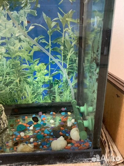 Аквариум б/у примерно 30 литров