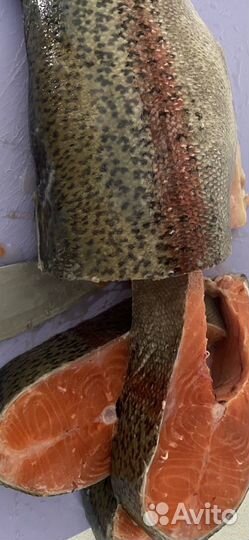 Рыба свежемороженая