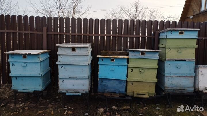Улей для пчел