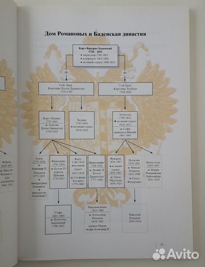 Русские судьбы в Баден-Бадене