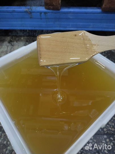 Липовый мёд Свежий Качка 2023 год