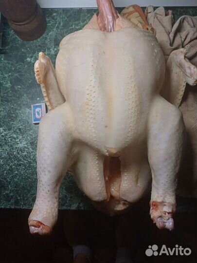 Тушка индейки