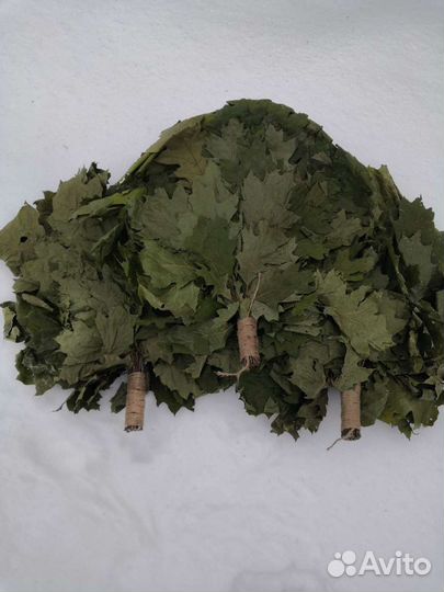 Веники Премиум класса - Дубвые Пихтовые Берёзка Тр