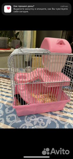 Мышки с клеткой