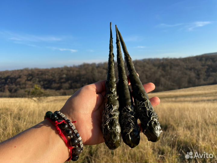 Свечи восковые маканые 