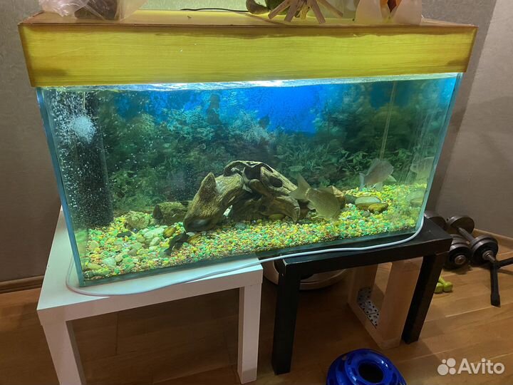 Аквариум
