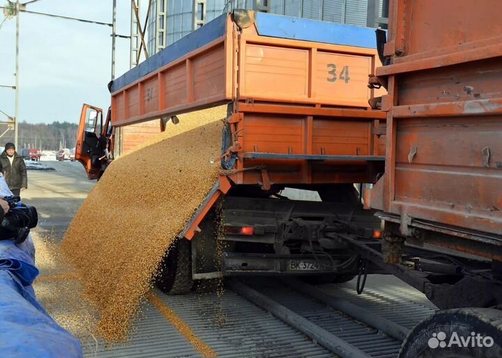 Перевозка зерна фура