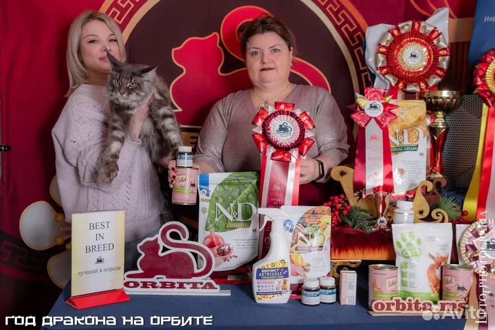 Полидакт на вязку