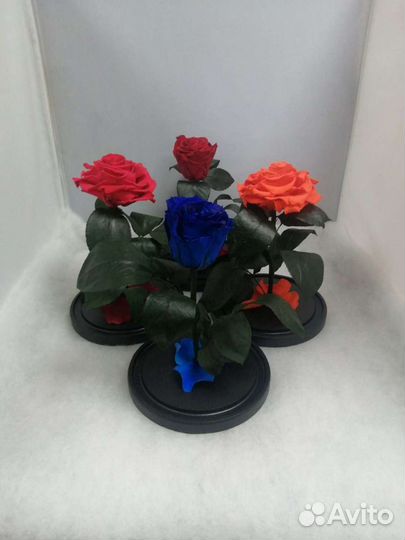 Роза в колбе оптом и в розницу