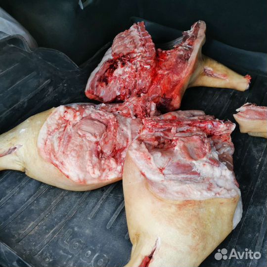 Домашнее мясо свинины