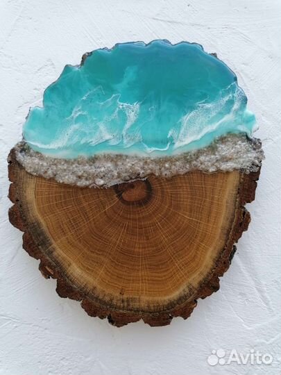 Спилы дуба 2 штуки