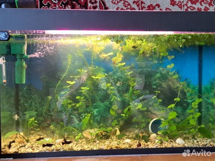 Продаю аквариум 140л и панорамный аквариум 180л