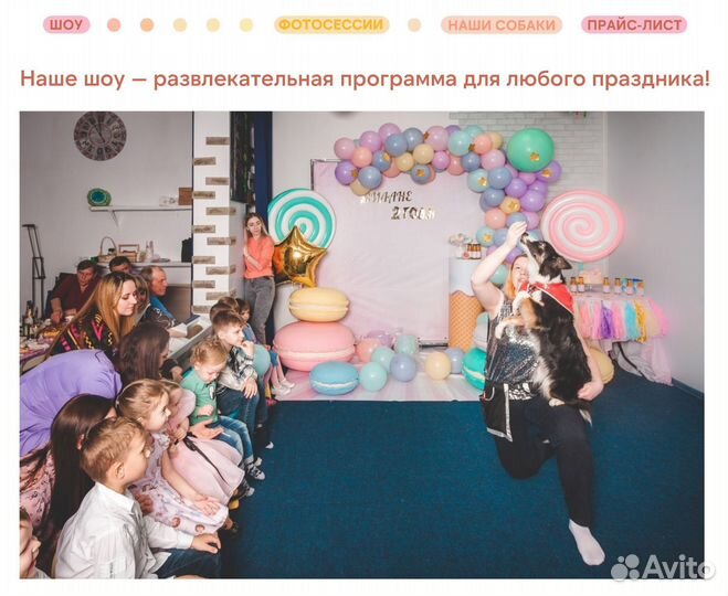 Шоу с дрессированными собаками на праздник