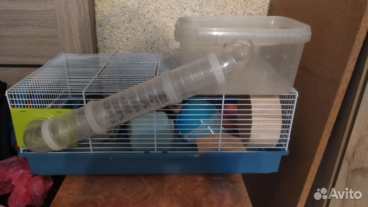 Клетка для джунгарского хомяка