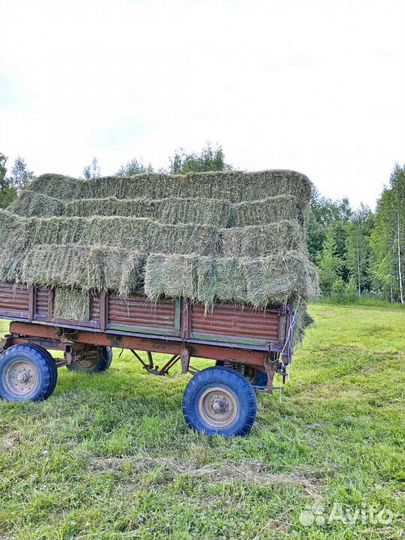 Подаю многотравия самая лучшая трава