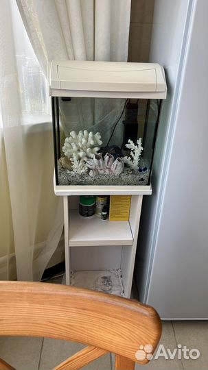 Аквариум Тетра 30 с тумбой