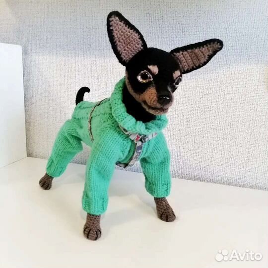 Русский той терьер игрушка собака