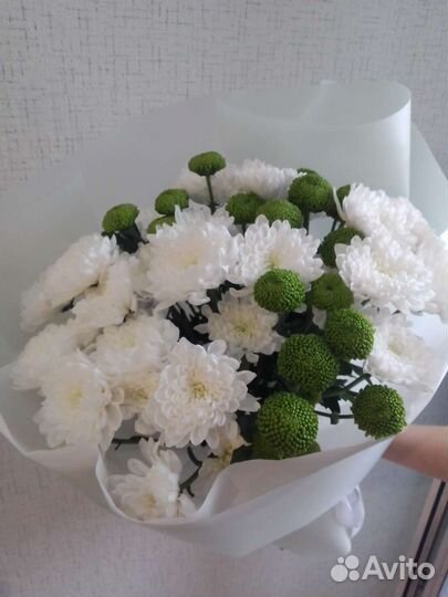 Сборный букет из хризантемы, доставка