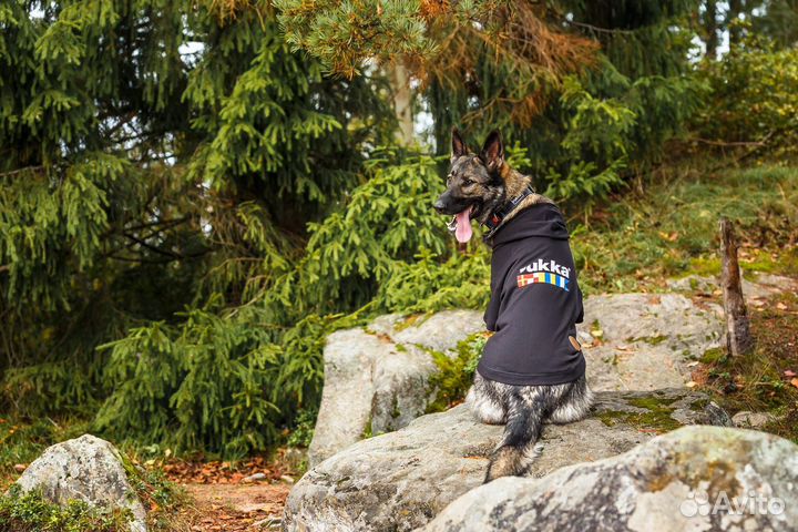 Толстовка для собаки rukka size 55