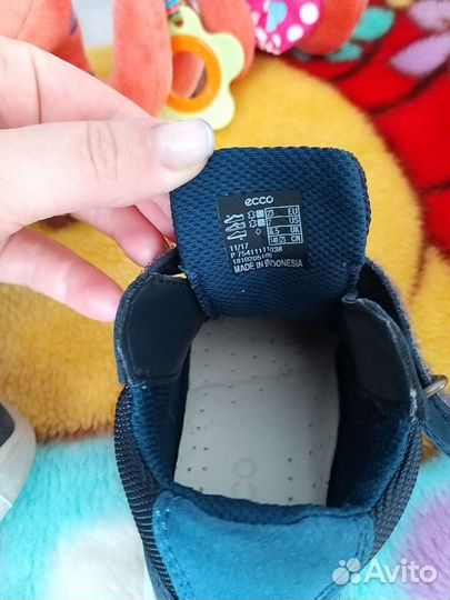 Ботинки демисезонные ecco