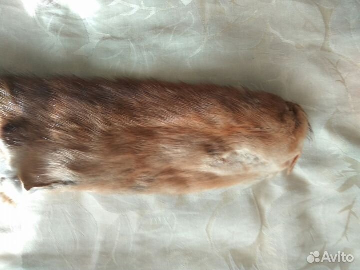 Шкурки от норки, горностая и барсука в комплекте