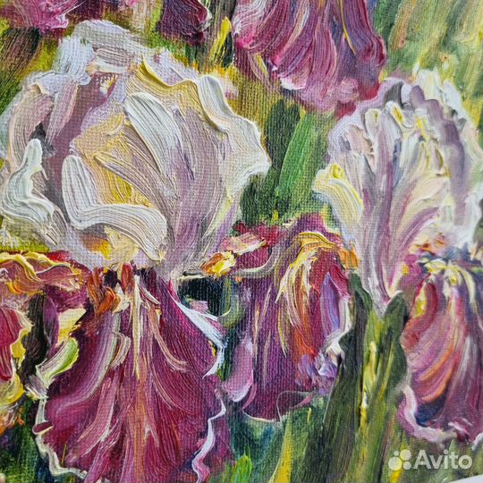 Ирисы картина маслом с цветами цветы ирисы