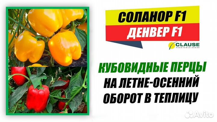 Денвер F1 Clause 1000 семян сладкого перца